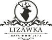 Lizawka